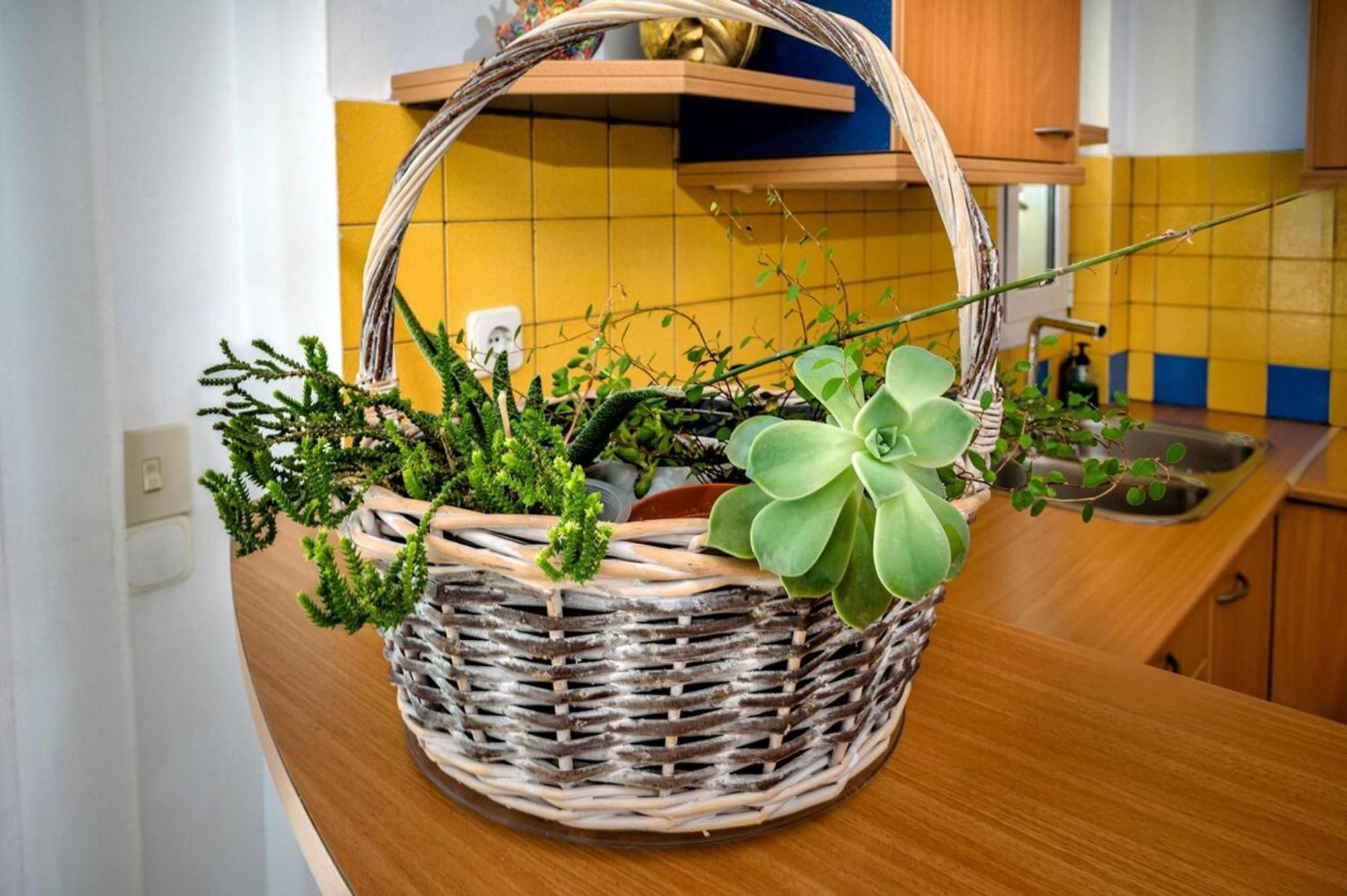 Marele Center By Cretan Appartement
